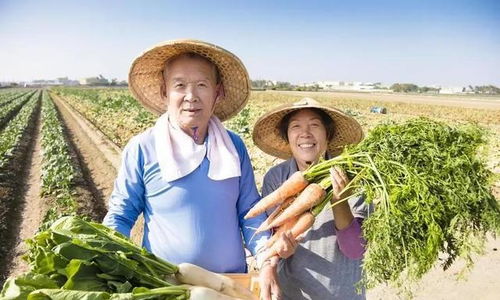 退休金4200的我，在農村嫂子家看到的另一種富足