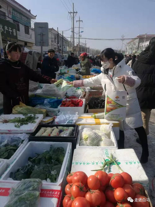 白馬鋪鎮多措并舉，全力保障春節期間農產品質量安全